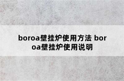 boroa壁挂炉使用方法 boroa壁挂炉使用说明